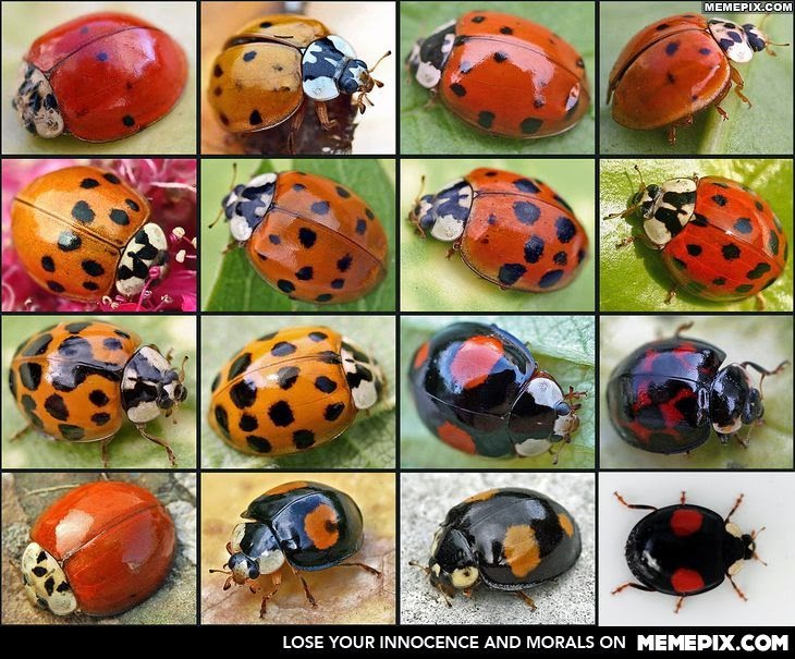 73715f702bc7a6f6f4cd84b2e625a107