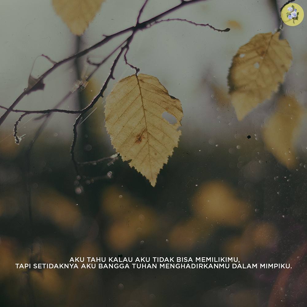 Kumpulan Caption Keren Yang Bijaksana Lucu Romantis Dan Penuh Kumpulan Caption Keren Yang Bijaksana Lucu Romantis Dan Penuh