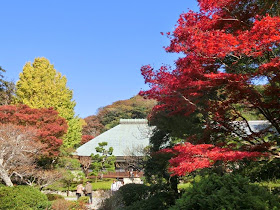 浄妙寺の紅葉