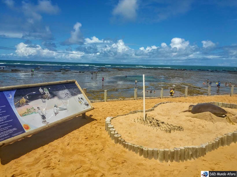 Projeto Tamar - Praia do Forte (Bahia) Projeto Tamar - Praia do Forte (Bahia)