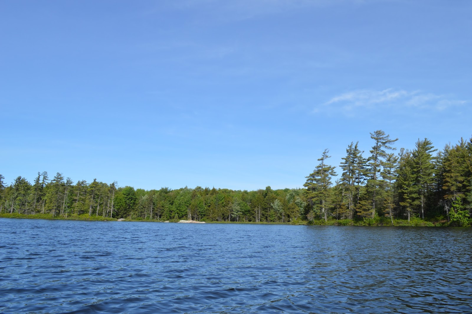 Quiet Kayaking in New York State Francis Lake, June 2015 Part I