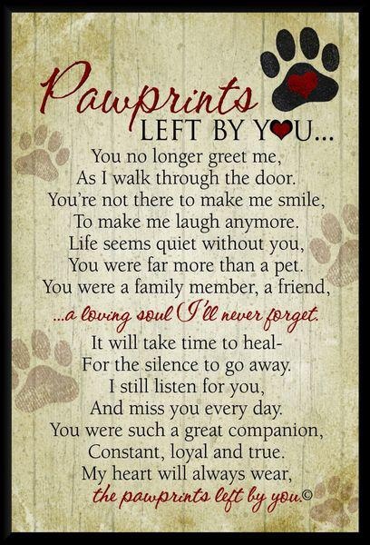 More Than Sayings: Pawprints left by you...