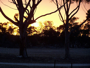 Sunrise on the farm