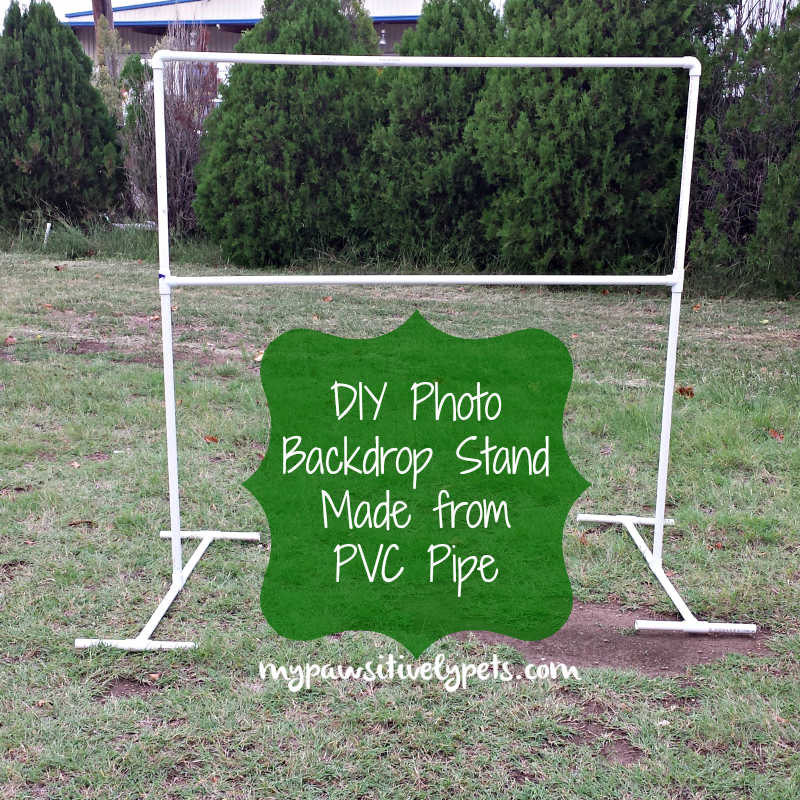 Diy Photo Backdrop Stand For Pets Pawsitively - Diy Backdrop Frame Stand
