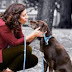5 Steps to Train Your Dog to “Go to Place” thumbnail