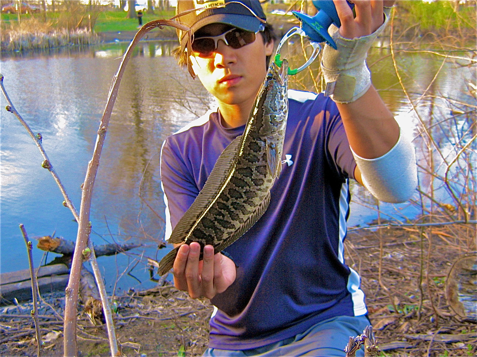 Extreme Philly Fishing: Season is open at the FDR Park - LMB and Snakeheads