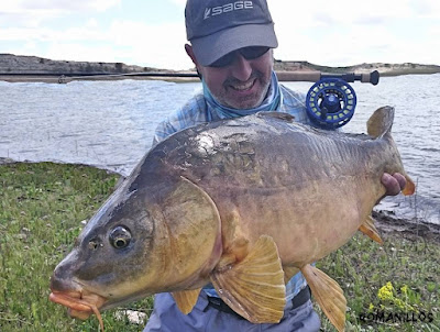 fly fishing for carp