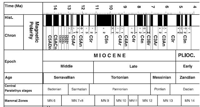 Estratigrafia e Paleontologia Miocénico Arquitaniano