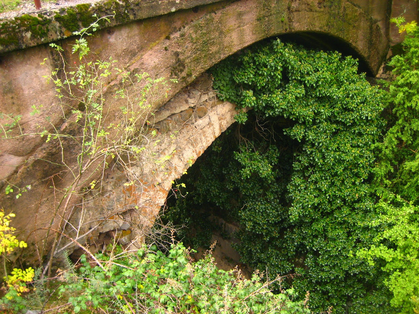ECHO SIN HACHE PUENTE DE SANTA ANA
