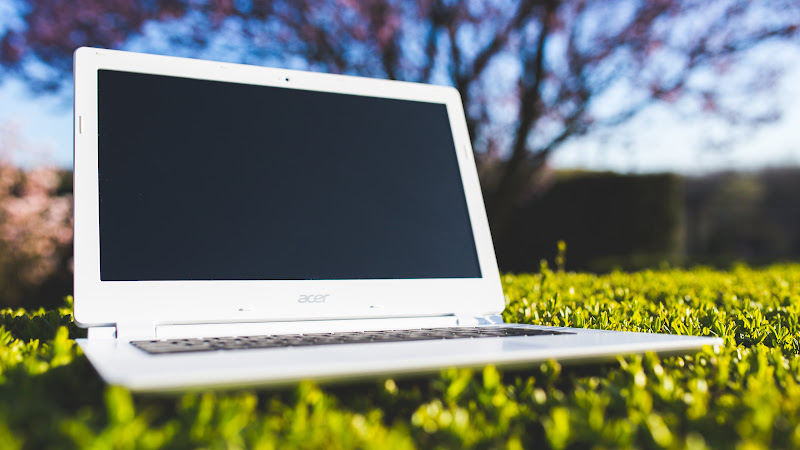 With the Laptop in Nature