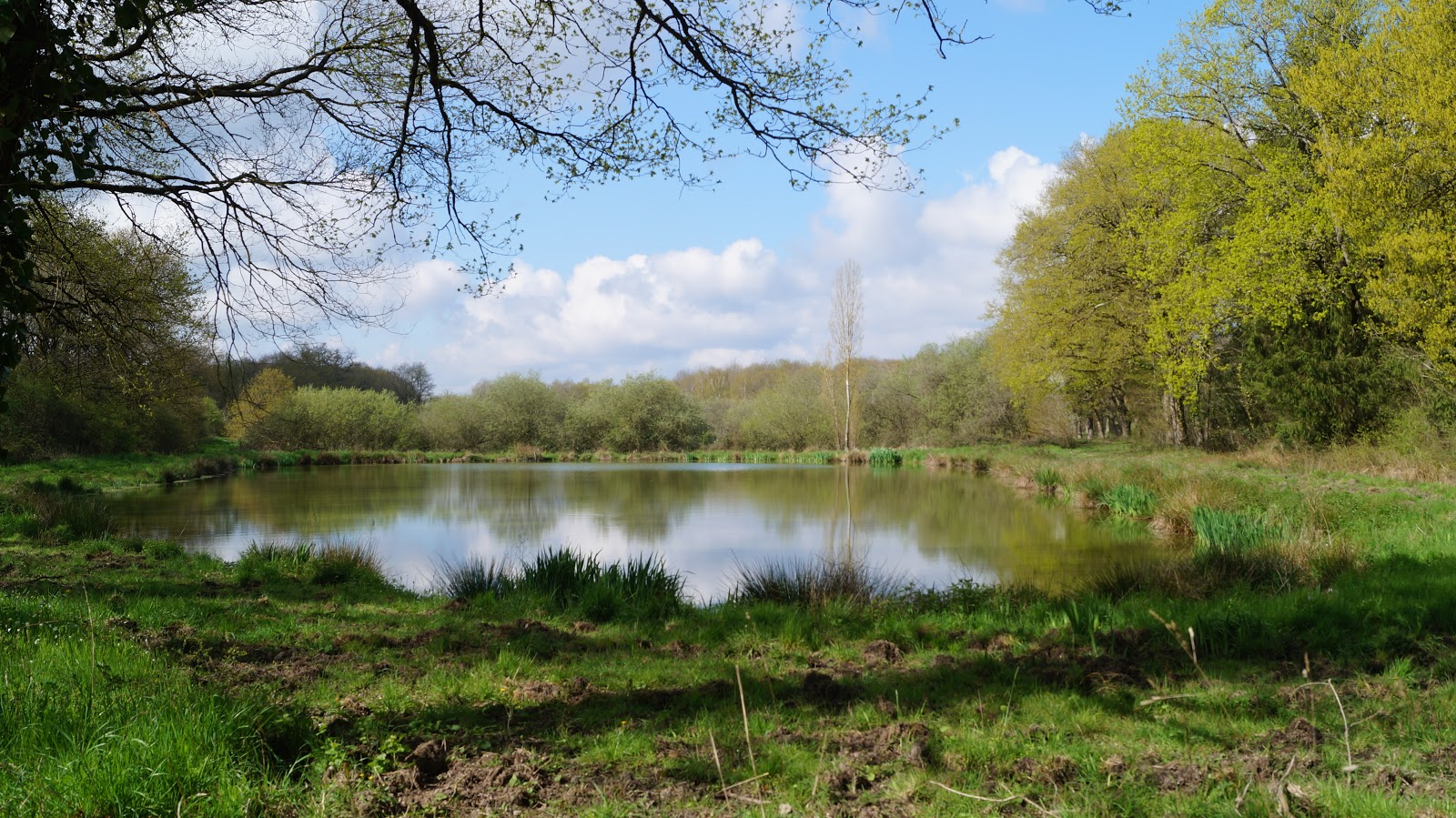 ID2 Rando 45, Ménestreau en Villette, Etangs et forêt de Sologne 6,1km