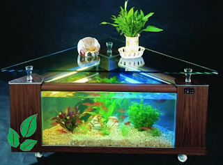 Model Akuarium