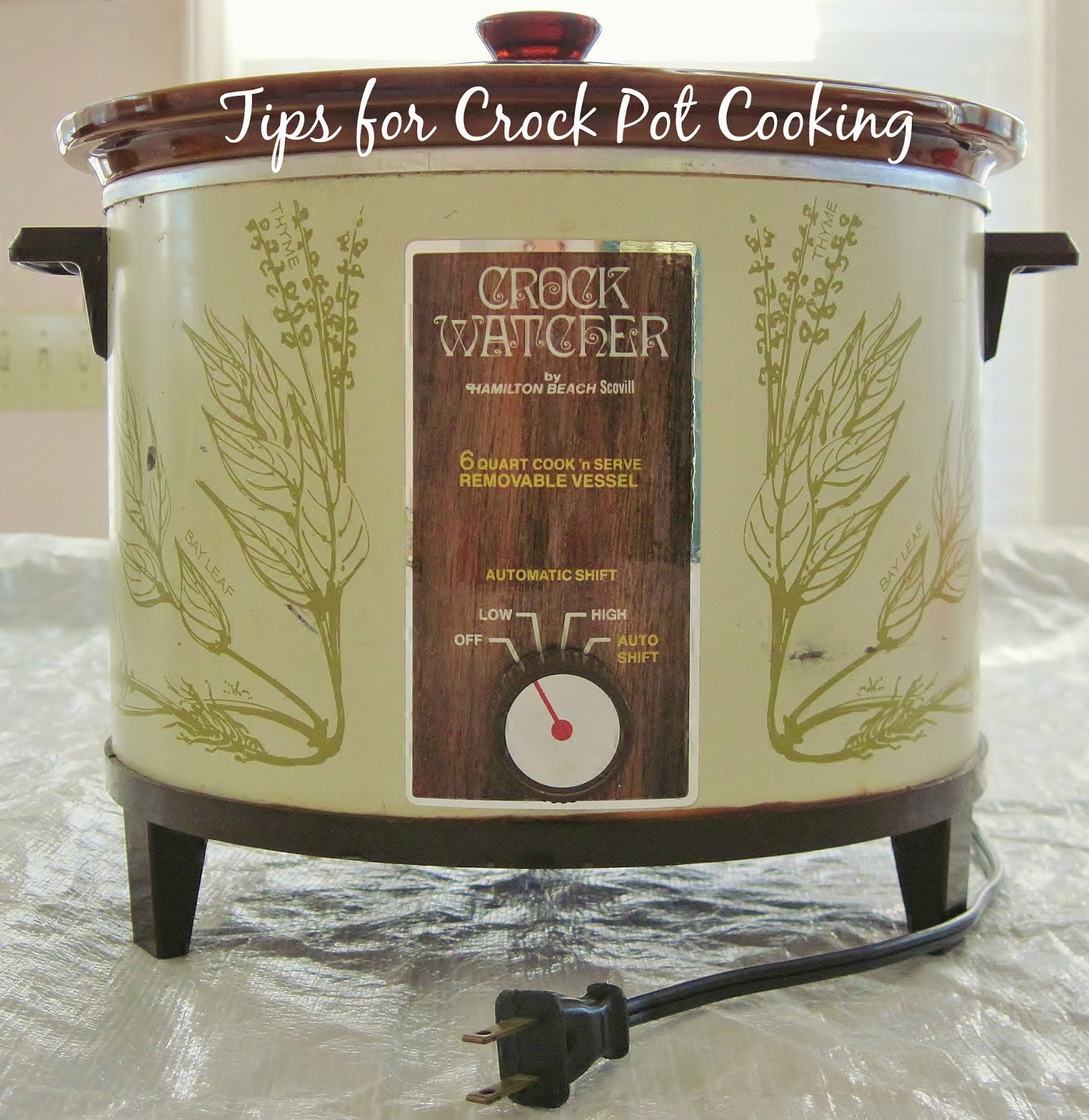 Carolina Sauce Company Quick Tips for Crock Pot Cooking