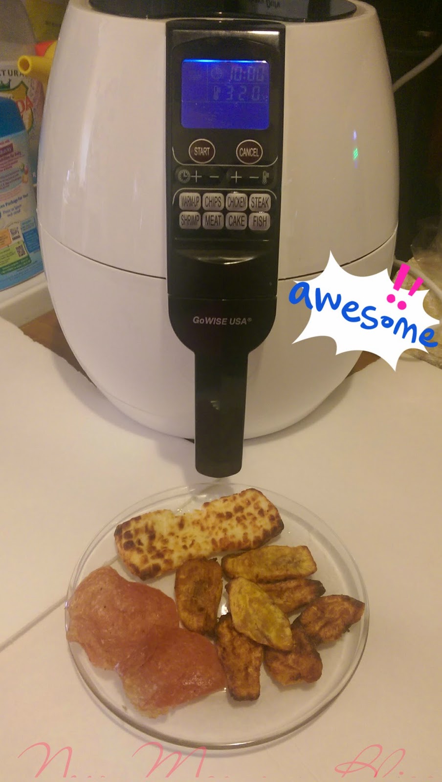 Why we chose to go Air Fryer! GoWISE USA 8in1 Electric Air Fryer