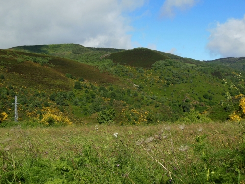 O'Cebreiro, Galicja, Alto San Roque, Alto do Polo, Fonfria, Camino, Jola Stępień O'Cebreiro, Galicja, Alto San Roque, Alto do Polo, Fonfria, Camino, Jola Stępień