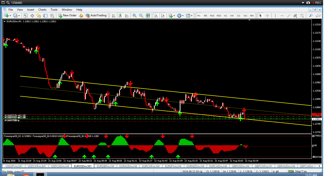 Pengalaman rugi dalam forex