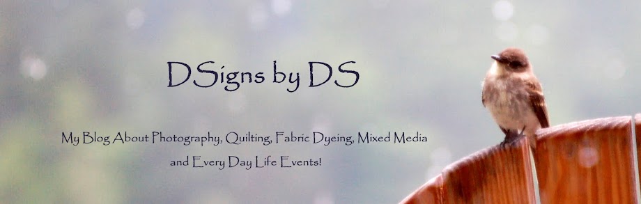 DSigns by DS