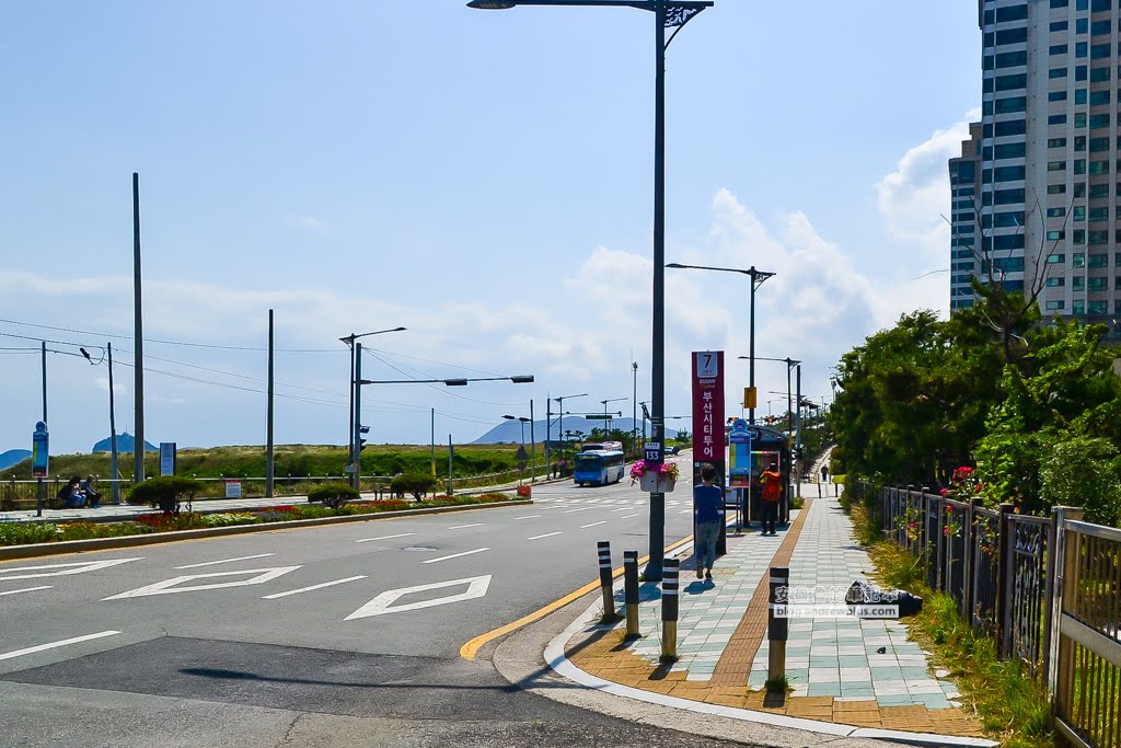 五六島天空步道,釜山必去景點,釜山景點,釜山天空步道