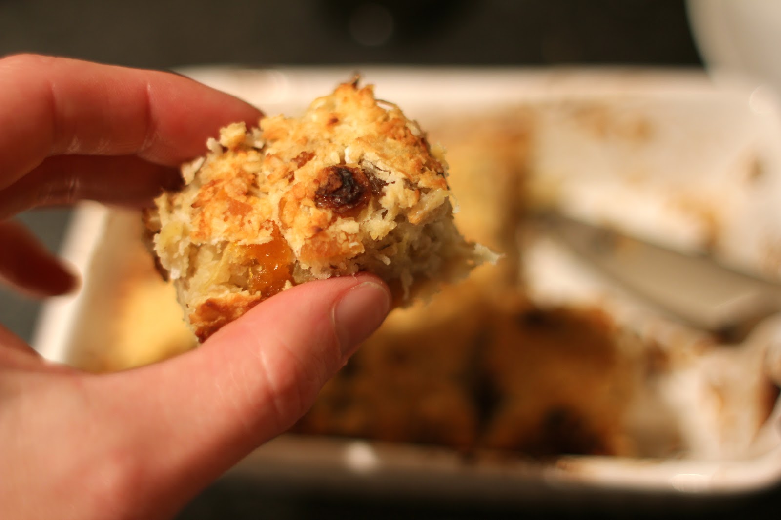 mamacook Sugar Free Fruit and Nut Slice for Toddlers