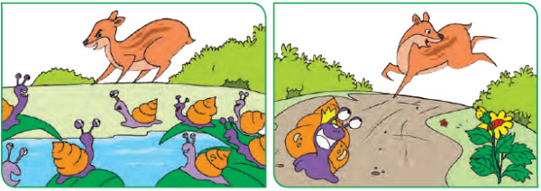 Kancil dan Siput, Kelas 5, Tema 4, Subtema 3, Pembelajaran