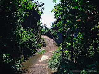 The Road To The Farmer's House In Agricultural Area At Ringdikit Village, North Bali, Indonesia
