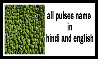 Pulses name in hindi and english