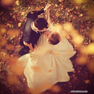 amour amour