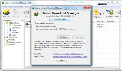 Internet Download Manager 6.31 Build 09 Full Version