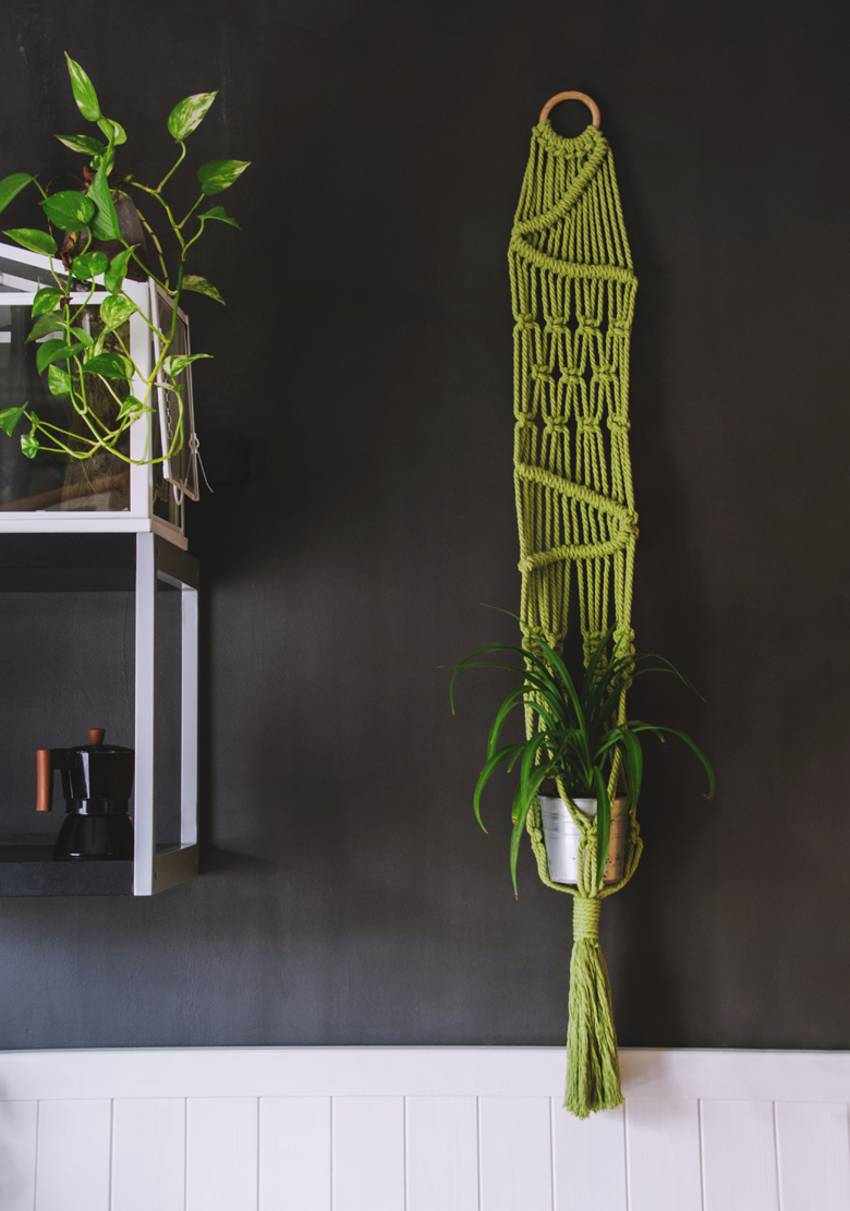 Macradenia un proyecto donde el macrame cobra vida de una forma maravillosa, creaciones únicas para tus plantas y para decorar espacios de una manera espectacular
