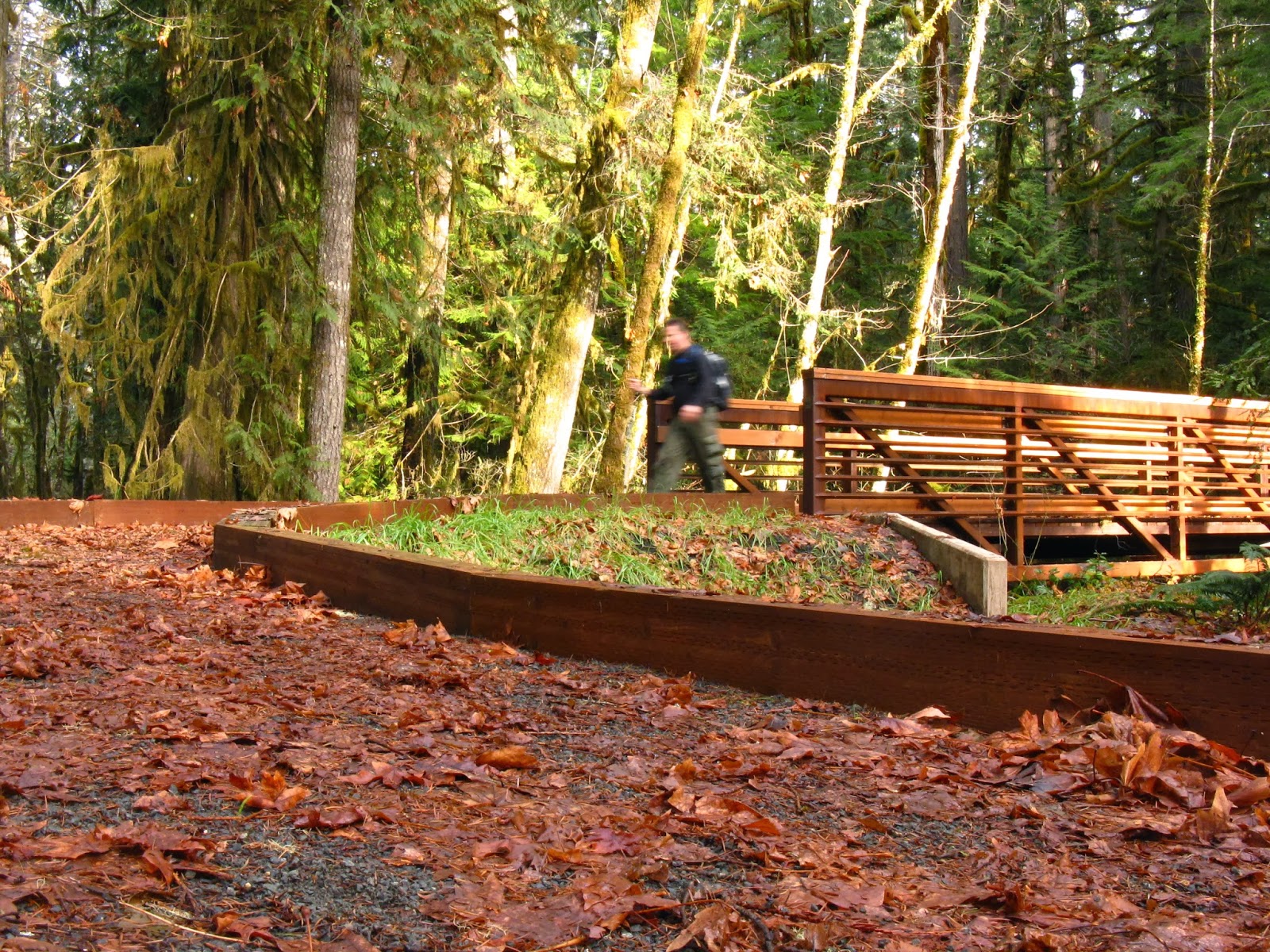 Lane's Trails and Travels: North Umpqua Trail: Susan Creek to Bob Butte