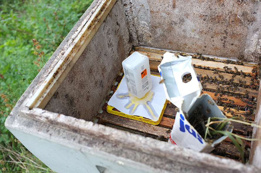 Varroa Dispenser Für Ameisensäure - Varroabehandlung Für Bienenstöcke