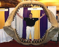 Steve Alten, author of Meg: A Novel of Deep Terror Steve Alten, author of Meg: A Novel of Deep Terror