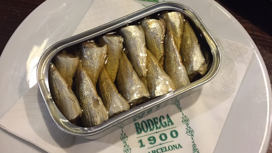 How to Buy the Best Sardines Canned Fish Product? Frozen Sardine Fish