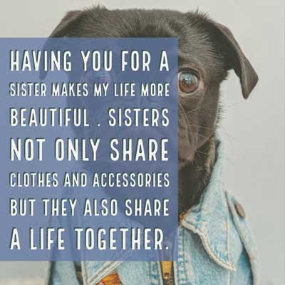 Funny Birthday Wishes For Sister 9 Having you for a sister makes my life more beautiful . Sisters not only share clothes and accessories but they also share a life together.