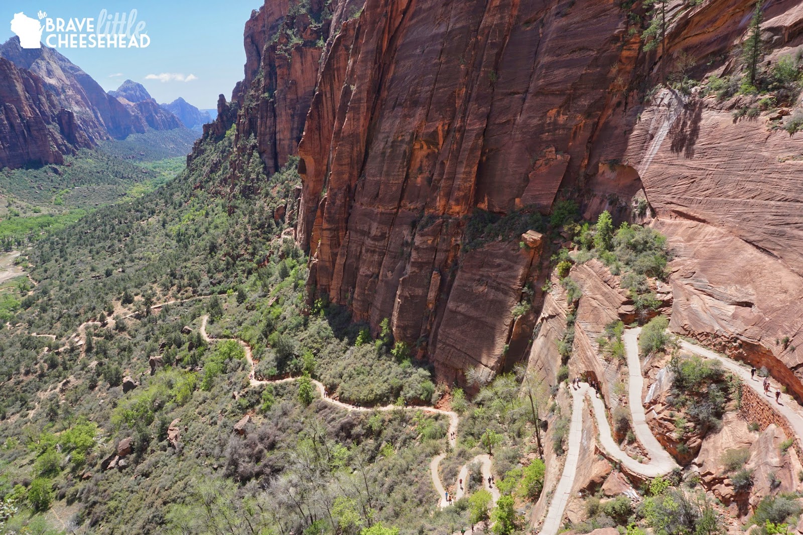 One Day at Zion National Park | The Brave Little Cheesehead One Day at Zion National Park | The Brave Little Cheesehead