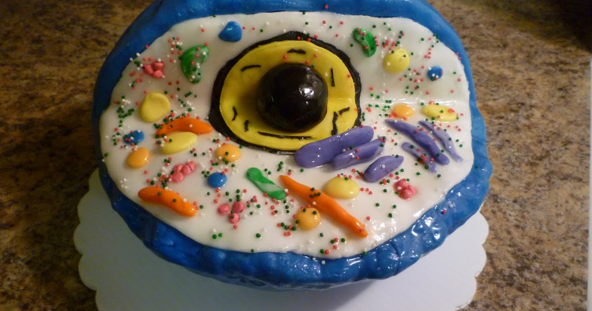Animal Cell Clay Model Labeled / Plant Cell Model Activity for Kids