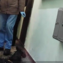 ШОК!!!! Видео с места, где в лифте жилого дома в Москве избили и сожгли человека(ВИДЕО 18+)