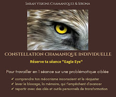 Constellations Visions Chamaniques en Individuel