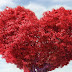 50 Beautiful iPhone 5 Wallpapers