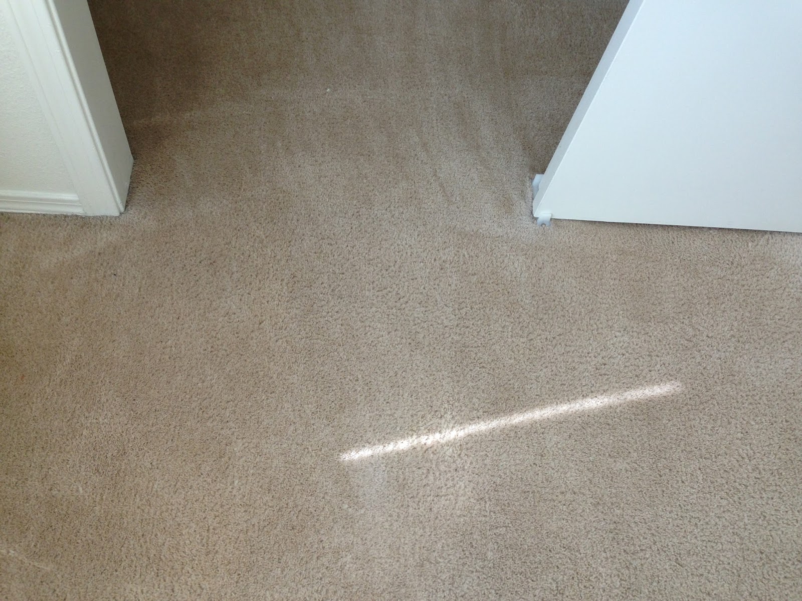 Southwest Colorado Carpet Cleaning Telltale Signs You Need a Carpet