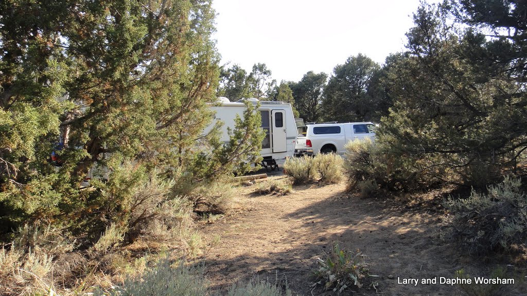 Nevada's Hidden Gem: Unveiling the Magic of Bob Scott Campground