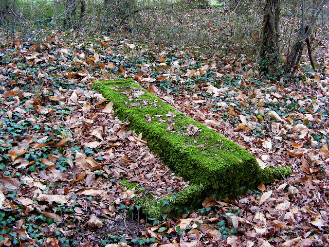 Hidden in woodland near Le Grand Pressigny. Photographed by Susan, private guide from Loire Valley Time Travel. https://tourtheloire.com. Tour the Loire in a classic car.