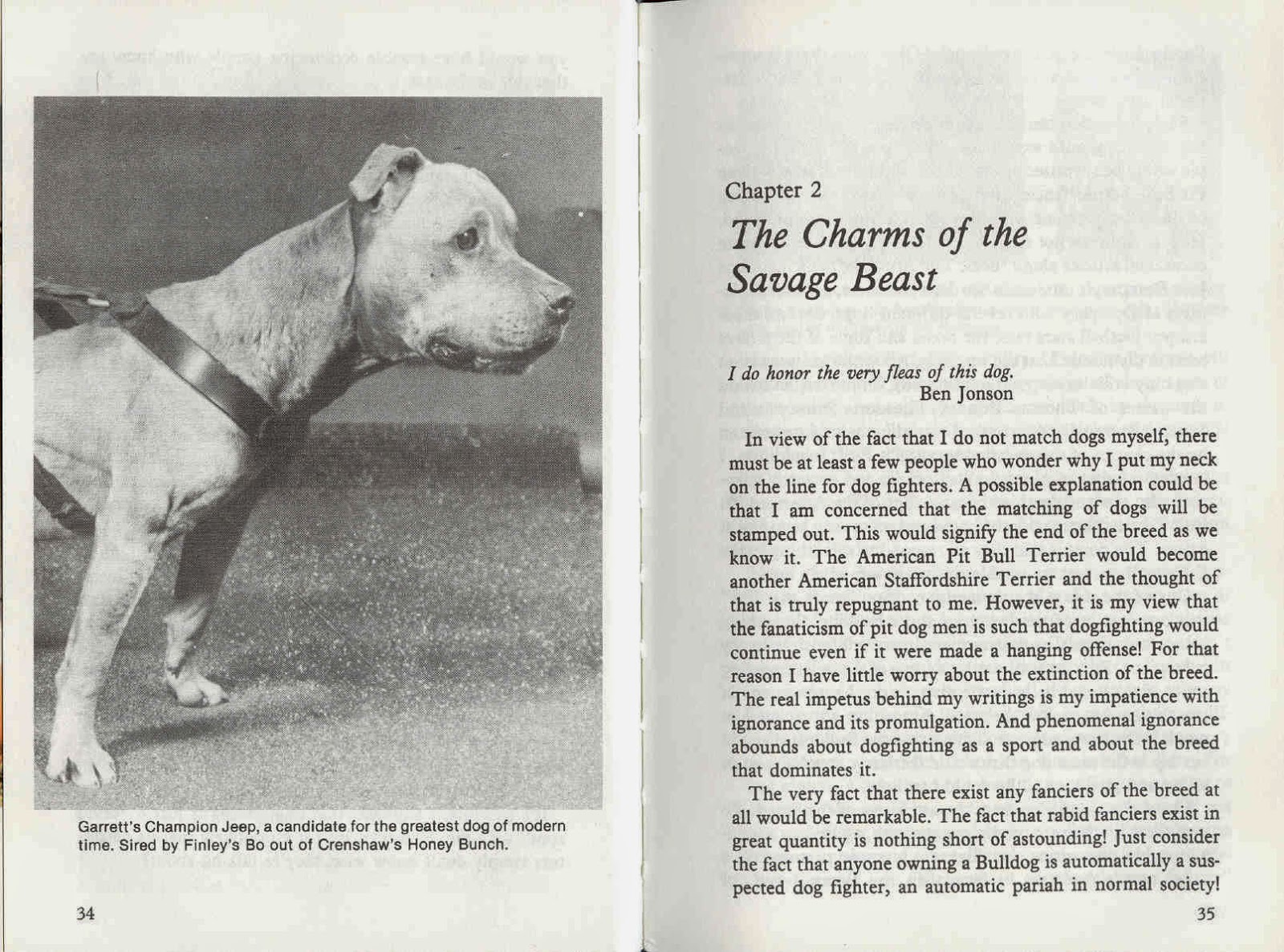 THE BOOK OF THE AMERICAN PIT BULL TERRIER ( RICHARD STRATTON)