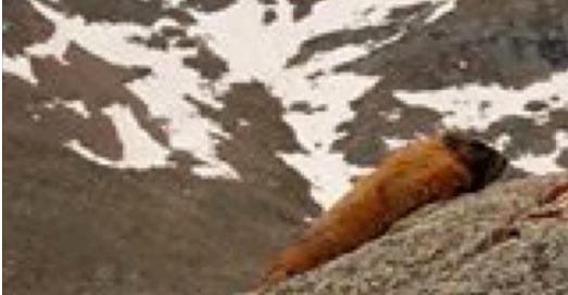 Cet homme est frappé par la foudre en pleine montagne. Quand il ouvre les yeux et voit ÇA, il se met à hurler!
