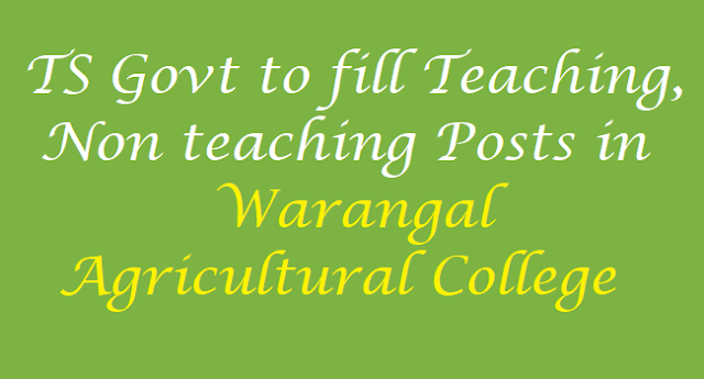 TS To fill Warangal Agricultural College Teaching, Non teaching Posts 2017 TS Teaching, Non teaching Posts ,Warangal Agricultural College Teaching, Non teaching Posts