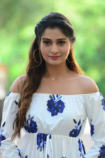 Actress Payal Rajput Stills At RDX love Movie Trailer launch Actress Payal Rajput Stills At RDX love Movie Trailer launch