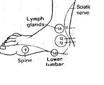 Mahato: ACUPRESSURE: THERAPY AND PRACTICE