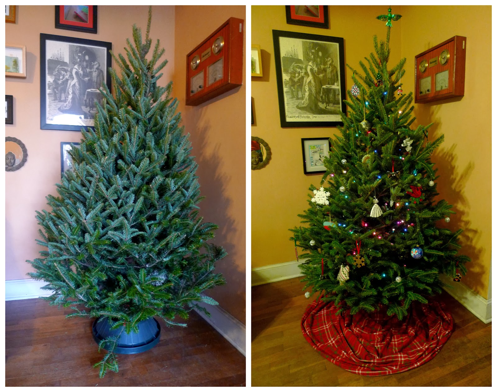 Older mommy still yummy: oh christmas tree, oh christmas tree!! linky Better Than Never: Christmas Trees and Quiet Afternoons