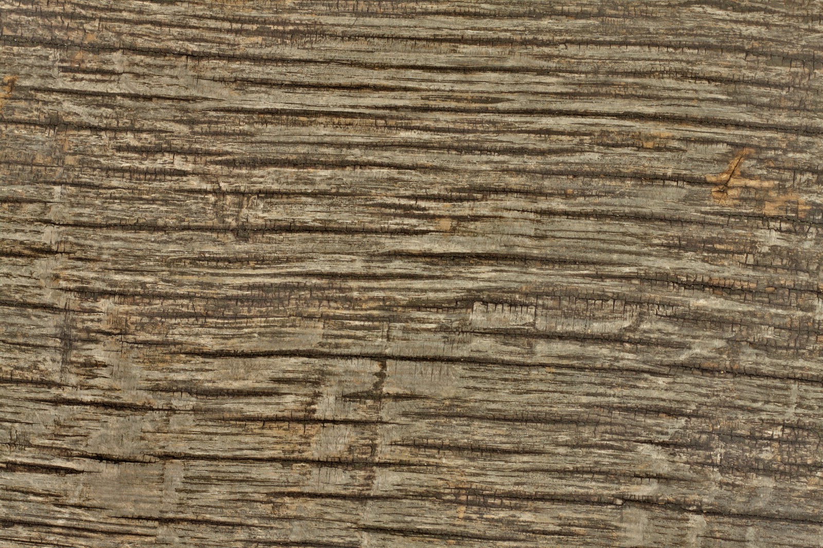 Wood dry cracked bench plank tree bark texture ver 15