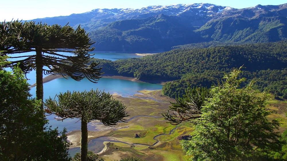 Cine y Documental Mapuche